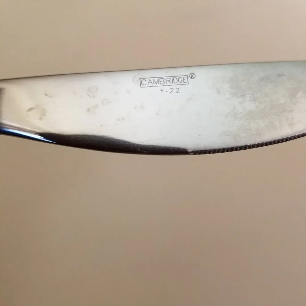 23 Pc Cambridge Flatware‎ Lot Stainless Steel Gift + - 22